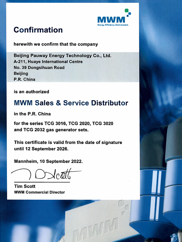 MWM